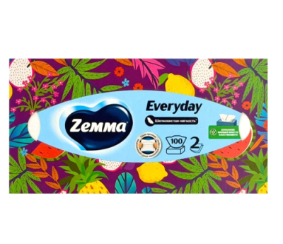 ZEMMA Everyday салфетки бумажные д/лица 2сл. 100шт